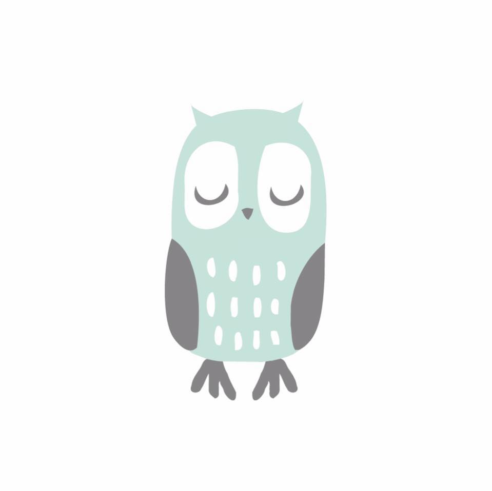 The little owl studio logo